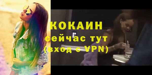 эйфоретик Елизово