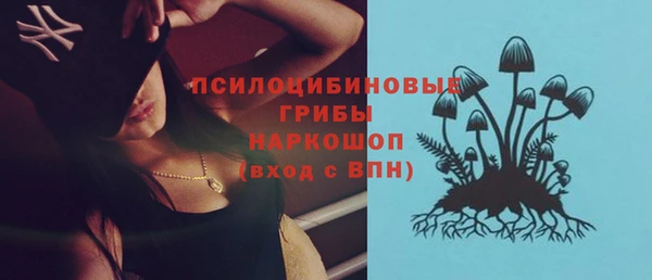 mdpv Елабуга